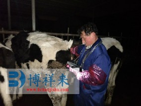 太原众和养殖有限公司BXL-V30奶牛B超培训