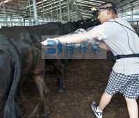 贵州恒大进口牛用B超培训现场