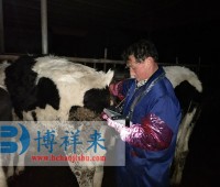 太原众和养殖有限公司BXL-V30奶牛B超培训