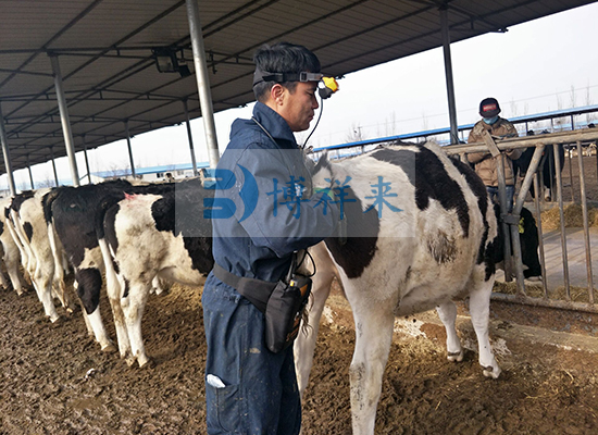 宁夏大北农进口兽用B超ibex lite培训现场